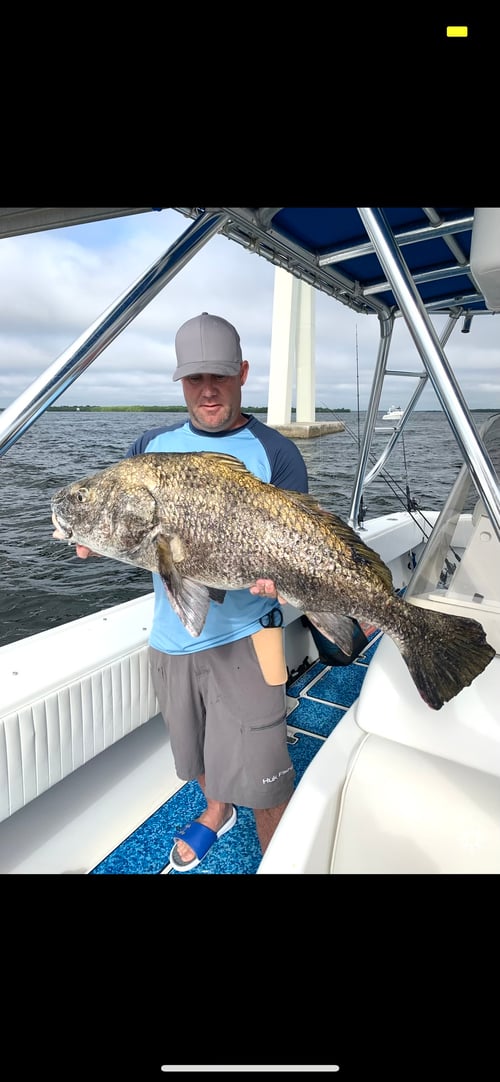 Inshore Fishing 4 Hours 