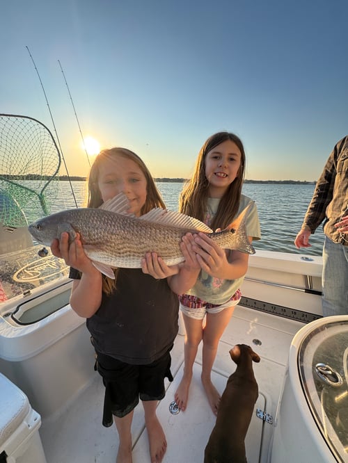 4 Hour Inshore