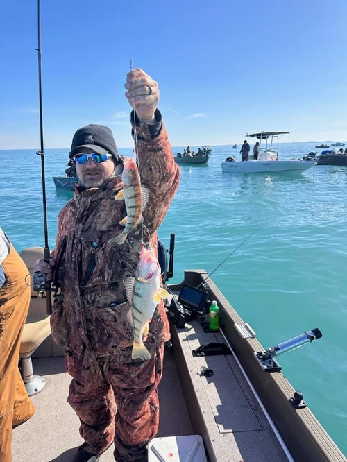 Half Day Trip – Yellow Perch