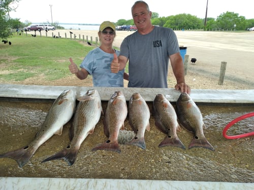 Freshwater Reds on Calaveras Lake