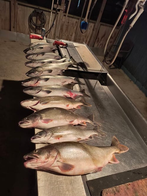 Salmon/Trout Fishing Trip
