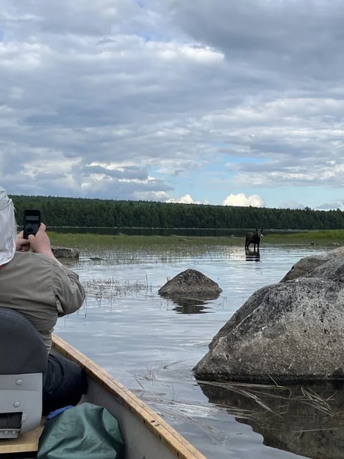 Salmon Fishing Trips