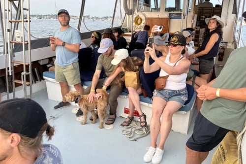 Mid-Day Harbor Tour