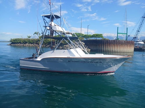 Half Day Or Full Day Fishing Trip