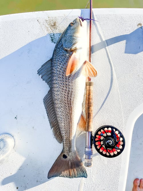 Fly/flats Fishing 