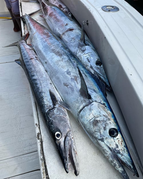 Fish, Swim & BBQ