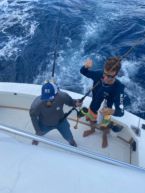 4-Hour In-Shore Fishing Charter