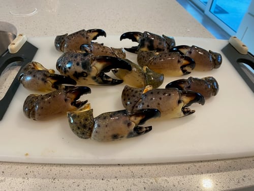 Matlacha Crabbing