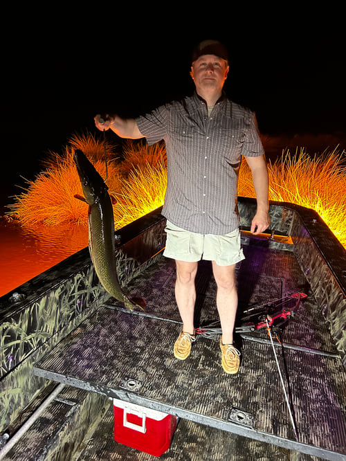 Marsh Monster