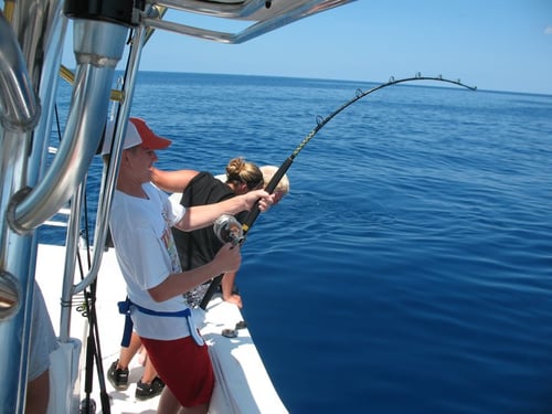 8 Hour Shark Fishing