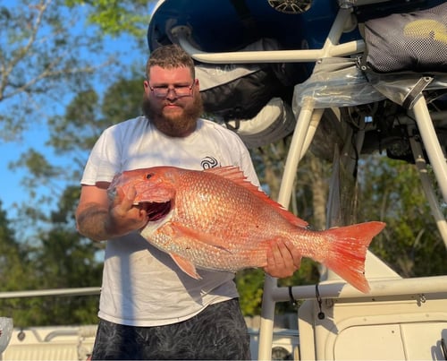 Florida Red Snapper Season Trips 