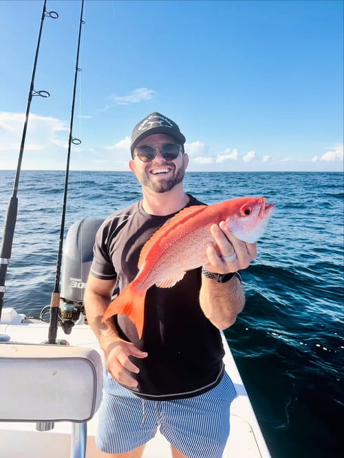 Offshore Mingo