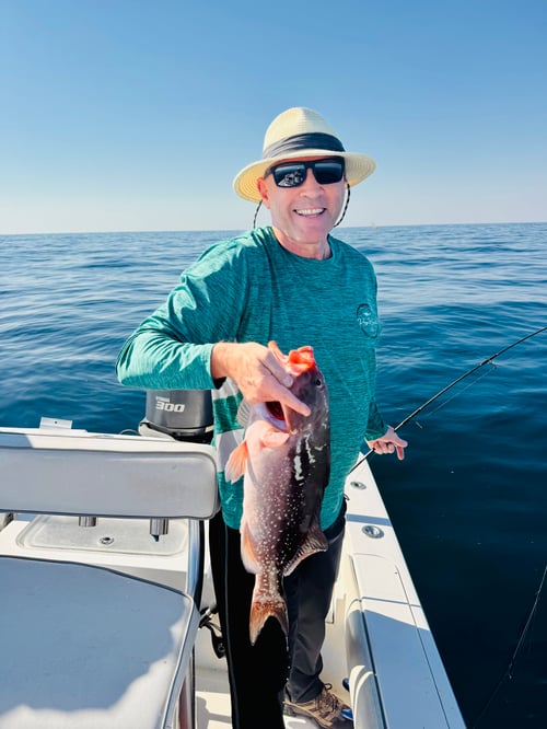 4-8 Hour Trip – Fish/Snorkel/Swim 