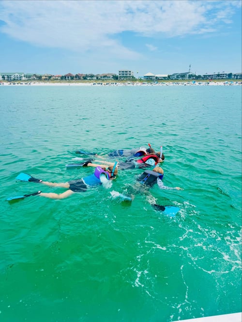 4-8 Hour Trip – Fish/Snorkel/Swim 