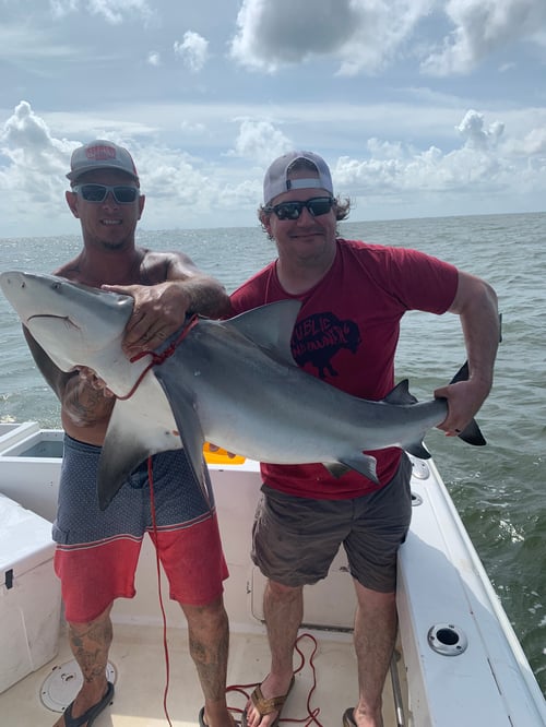 Shark Hunt