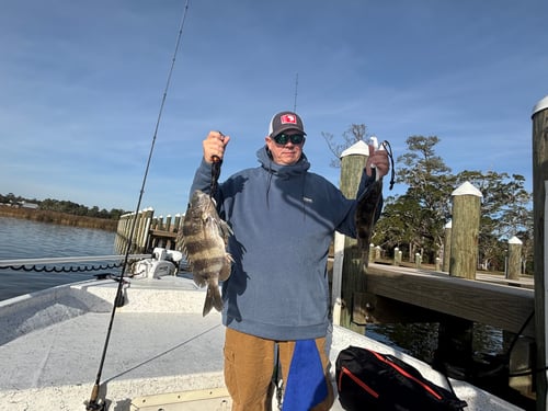 Inshore Quick Trip