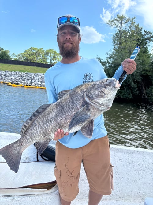 Inshore Quick Trip