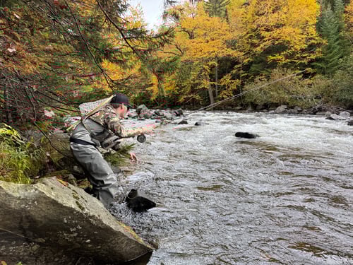 Northern NH Walk & Wade