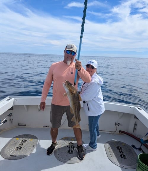 5-9 Hour Haddock & Cod Fishing
