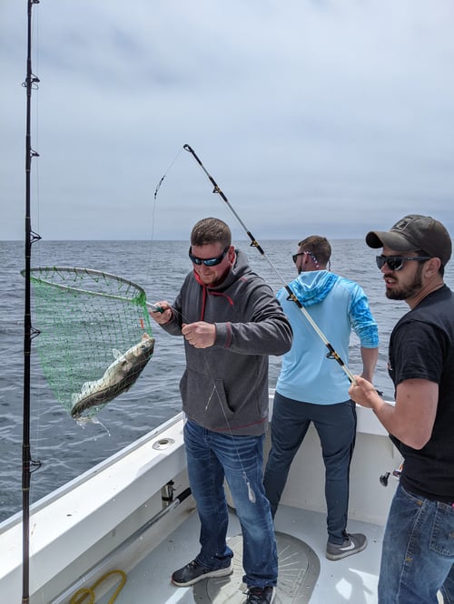 5-9 Hour Haddock & Cod Fishing