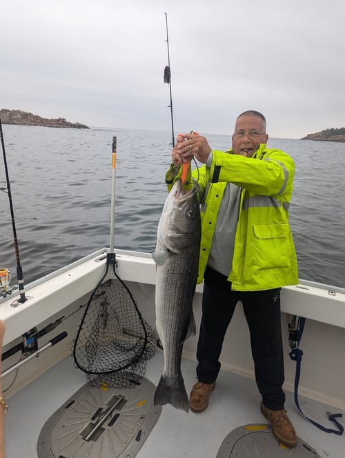Bass & Bluefish Fishing Trip