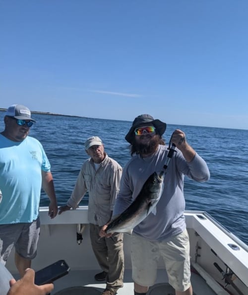 Bass & Bluefish Fishing Trip