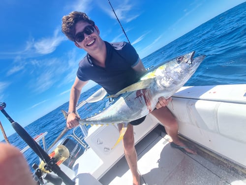 Cape Town Tuna