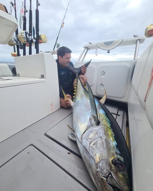 Cape Town Tuna
