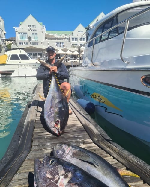Cape Town Tuna
