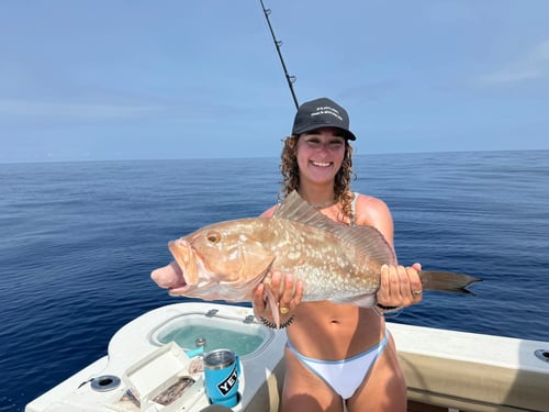 Nearshore Fishing ( <30 Miles Out)