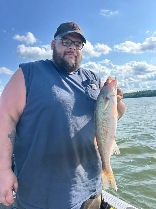 4 Hour Trip – Weekday Walleye