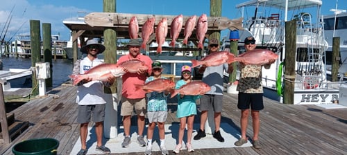 Family Fun 