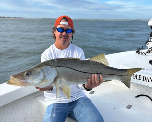 Inshore 