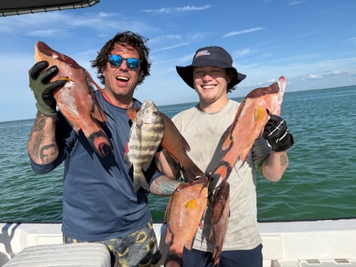 Nearshore Reef Baitfishing