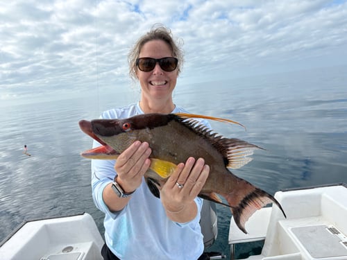Nearshore Reef Baitfishing
