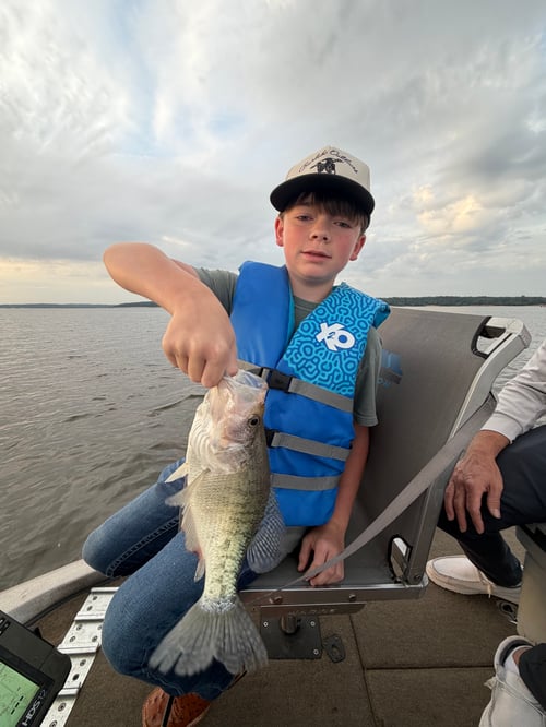 North Mississippi Crappie