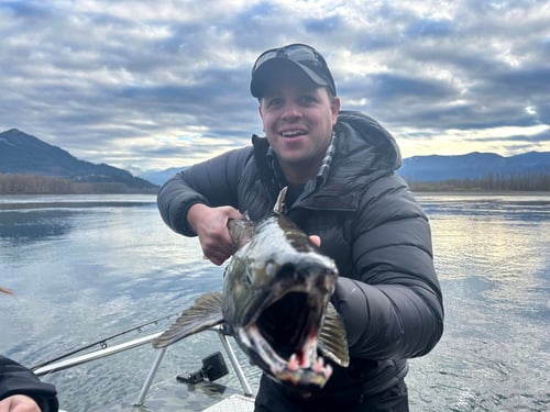Fraser River Salmon Fishing
