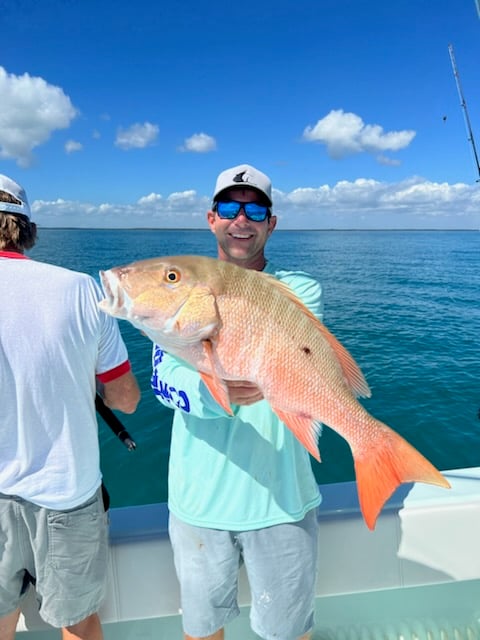 Reef Fishing Action