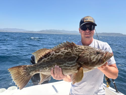 Sol De Oro Sport Fishing