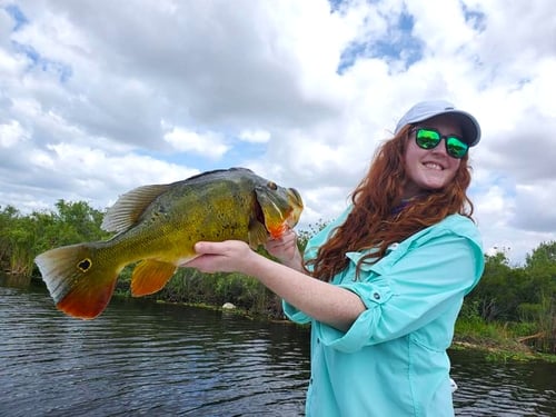 South Florida Everglades