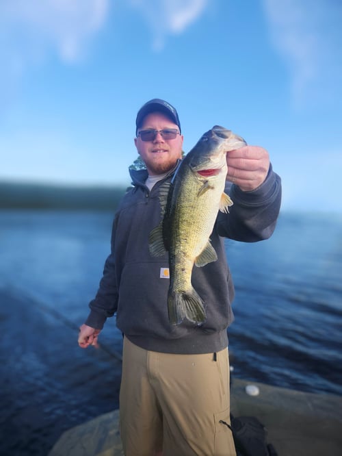South Florida Everglades