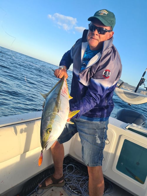 False Bay Inshore Trips 
