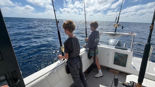 False Bay Inshore Trips 