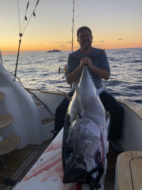 Full-day Or Half Day Fishing Trip