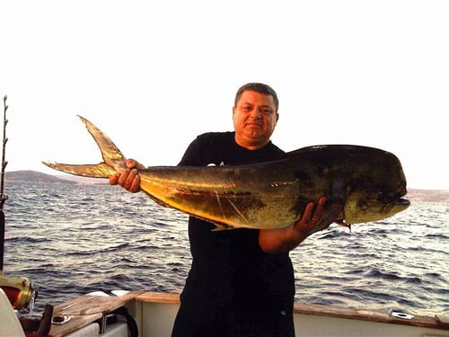 Full-day Or Half Day Fishing Trip