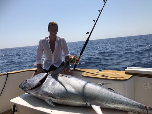 Full-day Or Half Day Fishing Trip