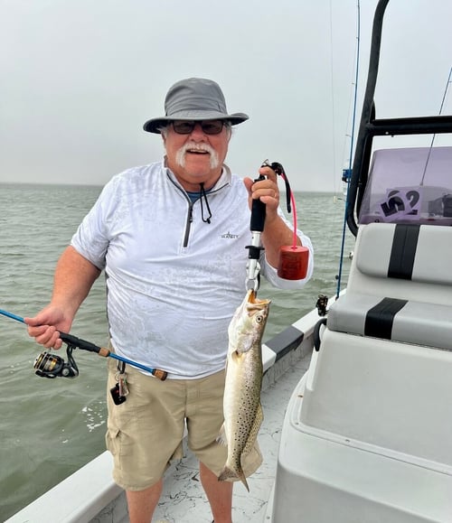 Upper Laguna Madre Inshore