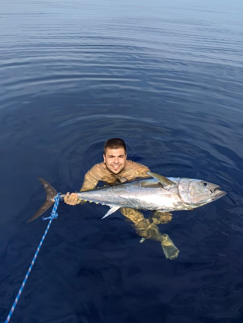 Full Day Big Game Fishing
