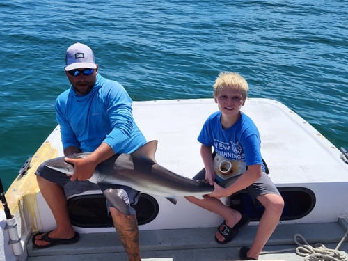 Shark Fishing