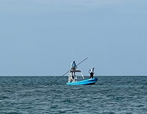 4-8 Hours Fishing Trip